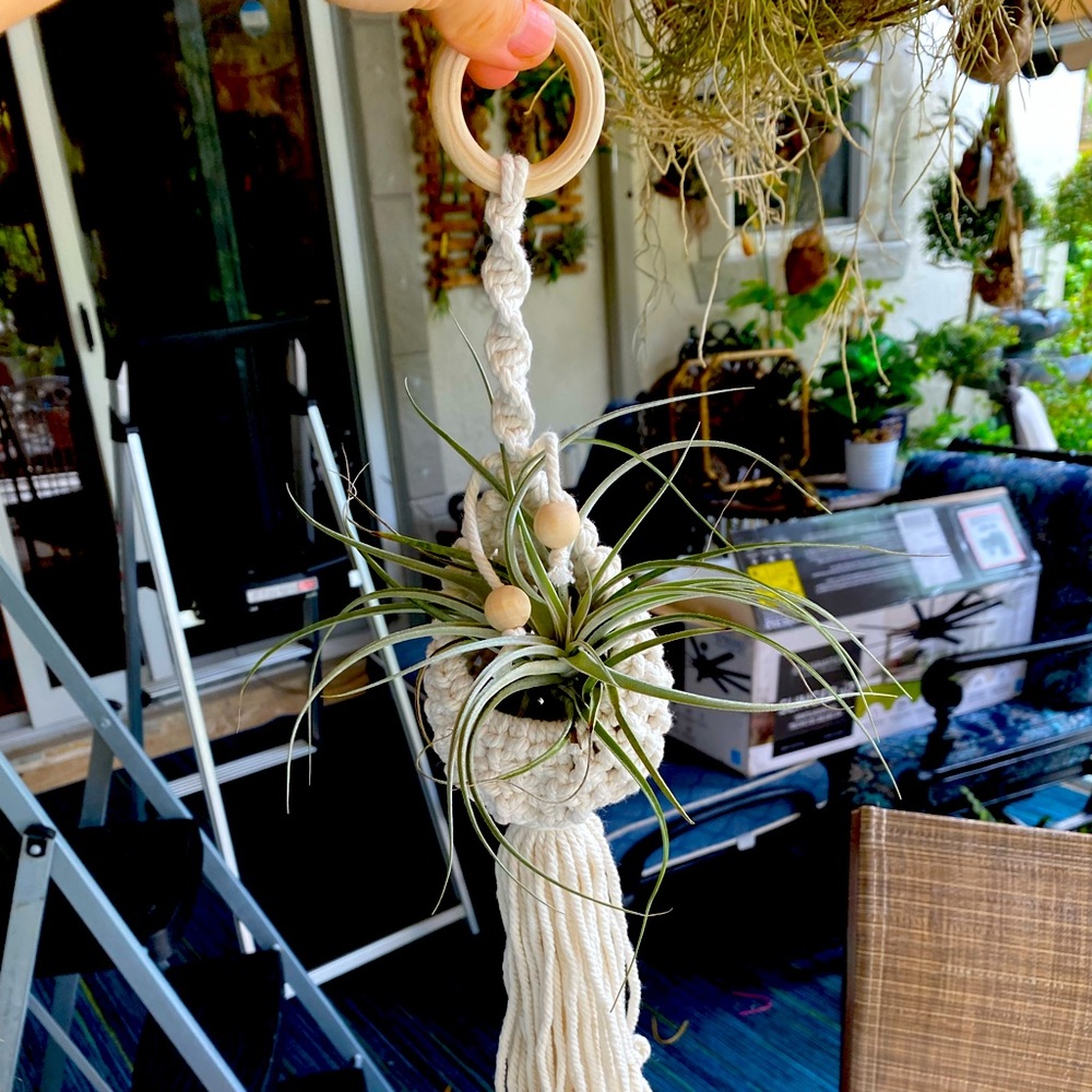 Planter with air pants